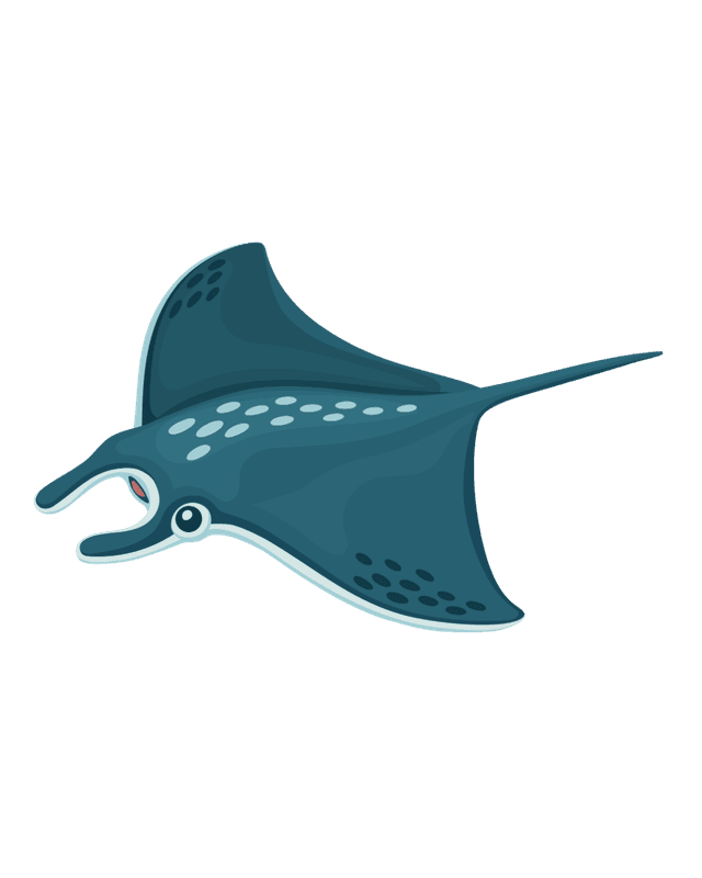 Pari Manta