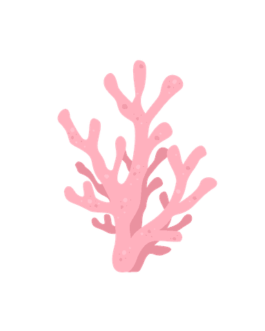 Karang Pink