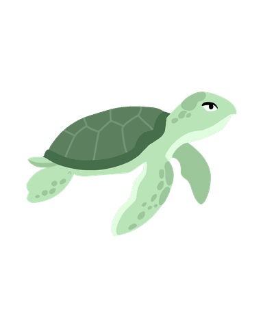 Penyu